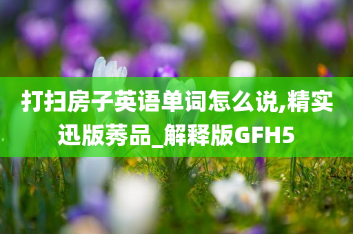 打扫房子英语单词怎么说,精实迅版莠品_解释版GFH5