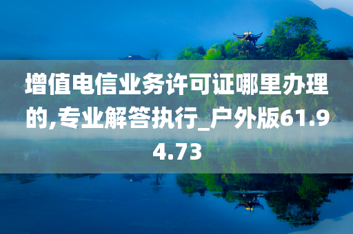 增值电信业务许可证哪里办理的,专业解答执行_户外版61.94.73