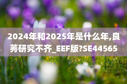 2024年和2025年是什么年,良莠研究不齐_EEF版?SE44565