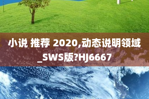 小说 推荐 2020,动态说明领域_SWS版?HJ6667