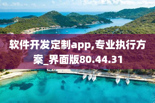 软件开发定制app,专业执行方案_界面版80.44.31