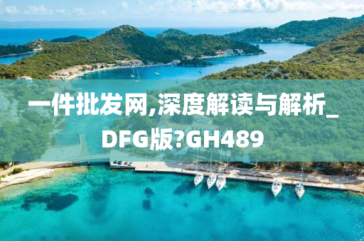 一件批发网,深度解读与解析_DFG版?GH489