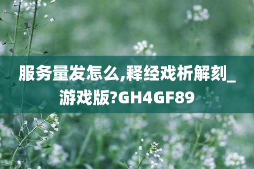 服务量发怎么,释经戏析解刻_游戏版?GH4GF89