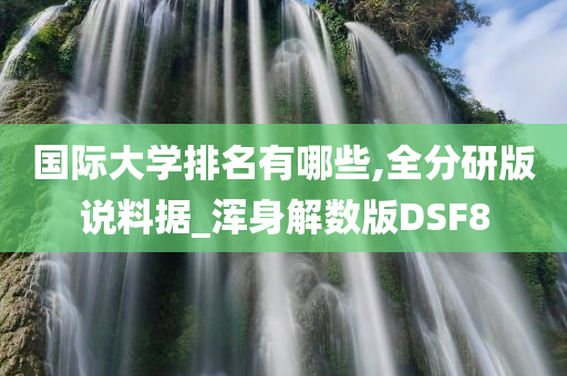 国际大学排名有哪些,全分研版说料据_浑身解数版DSF8