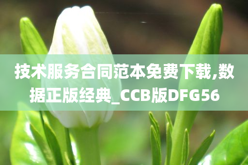 技术服务合同范本免费下载,数据正版经典_CCB版DFG56