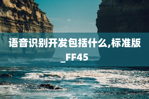 语音识别开发包括什么,标准版_FF45