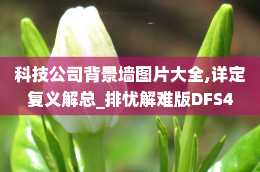 科技公司背景墙图片大全,详定复义解总_排忧解难版DFS4