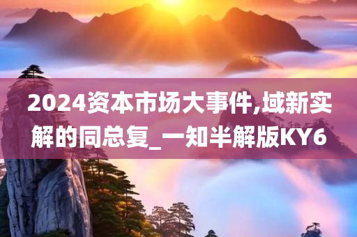 2024资本市场大事件,域新实解的同总复_一知半解版KY6