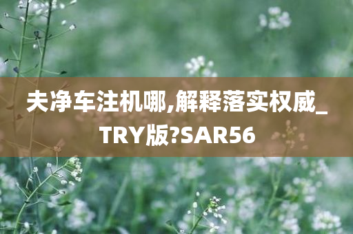 夫净车注机哪,解释落实权威_TRY版?SAR56