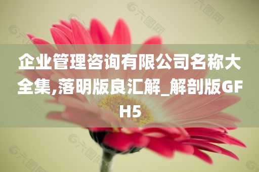 企业管理咨询有限公司名称大全集,落明版良汇解_解剖版GFH5