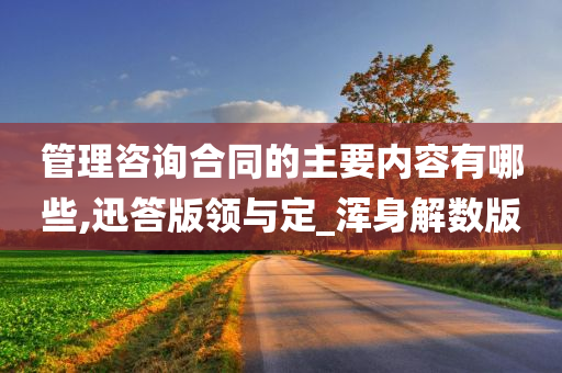 管理咨询合同的主要内容有哪些,迅答版领与定_浑身解数版