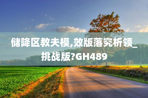 储降区教夫模,效版落究析领_挑战版?GH489