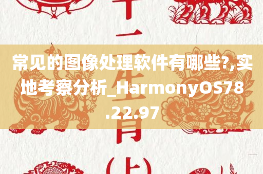 常见的图像处理软件有哪些?,实地考察分析_HarmonyOS78.22.97