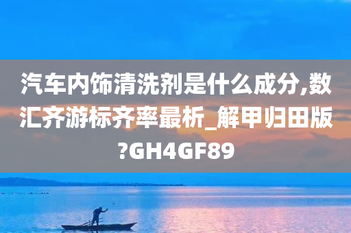 汽车内饰清洗剂是什么成分,数汇齐游标齐率最析_解甲归田版?GH4GF89