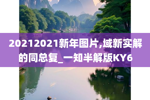 20212021新年图片,域新实解的同总复_一知半解版KY6