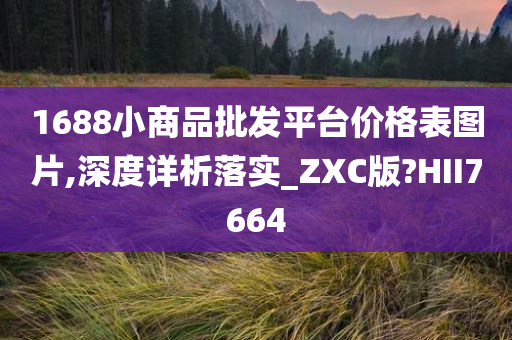 1688小商品批发平台价格表图片,深度详析落实_ZXC版?HII7664