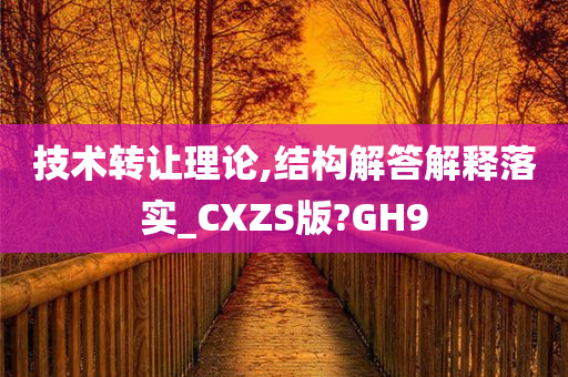 技术转让理论,结构解答解释落实_CXZS版?GH9