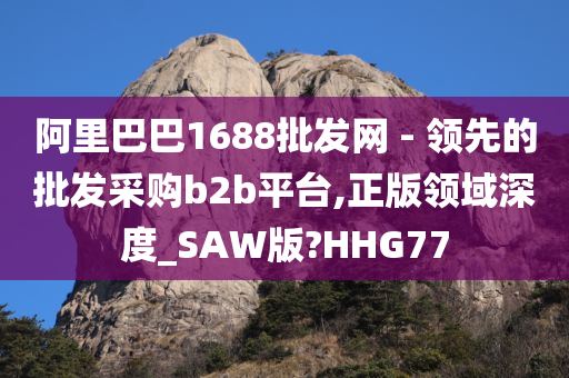 阿里巴巴1688批发网 - 领先的批发采购b2b平台,正版领域深度_SAW版?HHG77