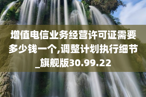 增值电信业务经营许可证需要多少钱一个,调整计划执行细节_旗舰版30.99.22