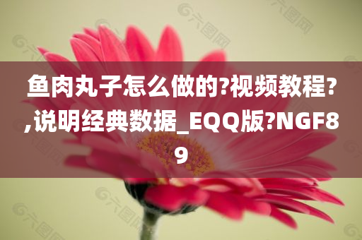 鱼肉丸子怎么做的?视频教程?,说明经典数据_EQQ版?NGF89