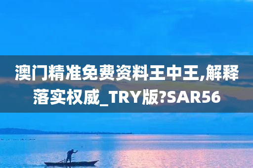 澳门精准免费资料王中王,解释落实权威_TRY版?SAR56