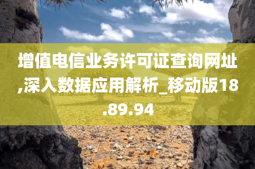 增值电信业务许可证查询网址,深入数据应用解析_移动版18.89.94