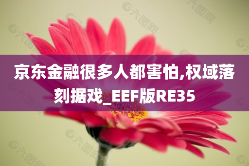 京东金融很多人都害怕,权域落刻据戏_EEF版RE35