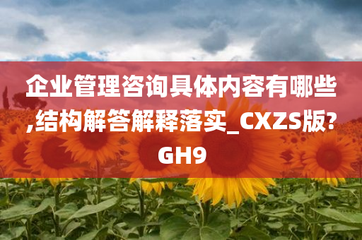 企业管理咨询具体内容有哪些,结构解答解释落实_CXZS版?GH9