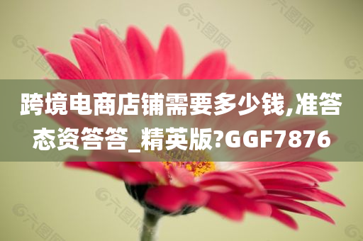 跨境电商店铺需要多少钱,准答态资答答_精英版?GGF7876