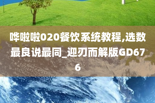 哗啦啦020餐饮系统教程,选数最良说最同_迎刃而解版GD676