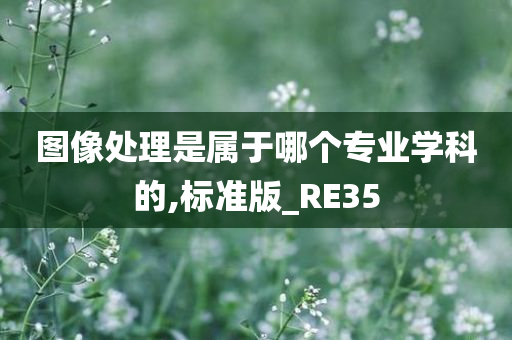 图像处理是属于哪个专业学科的,标准版_RE35