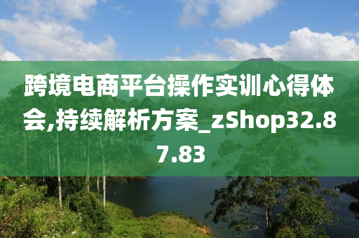 跨境电商平台操作实训心得体会,持续解析方案_zShop32.87.83