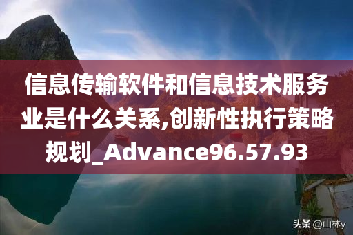 信息传输软件和信息技术服务业是什么关系,创新性执行策略规划_Advance96.57.93