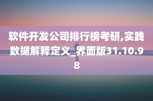 软件开发公司排行榜考研,实践数据解释定义_界面版31.10.98