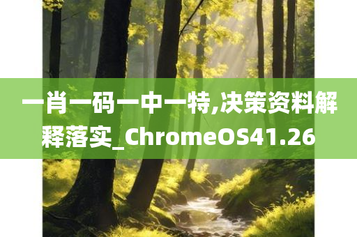 一肖一码一中一特,决策资料解释落实_ChromeOS41.26