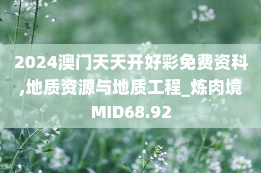 2024澳门天天开好彩免费资科,地质资源与地质工程_炼肉境MID68.92