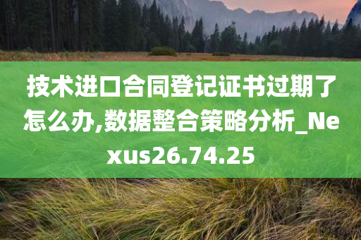 技术进口合同登记证书过期了怎么办,数据整合策略分析_Nexus26.74.25