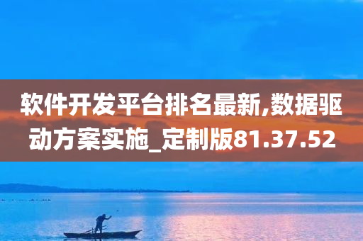 软件开发平台排名最新,数据驱动方案实施_定制版81.37.52