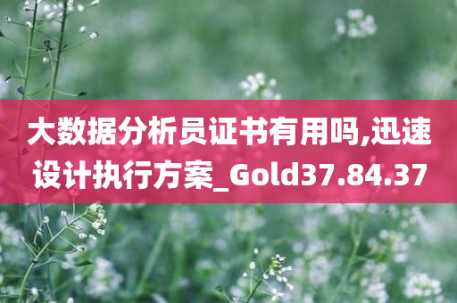 大数据分析员证书有用吗,迅速设计执行方案_Gold37.84.37