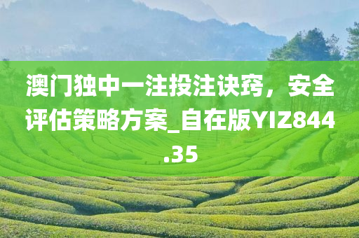 澳门独中一注投注诀窍，安全评估策略方案_自在版YIZ844.35