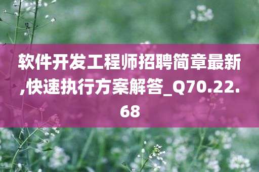 软件开发工程师招聘简章最新,快速执行方案解答_Q70.22.68