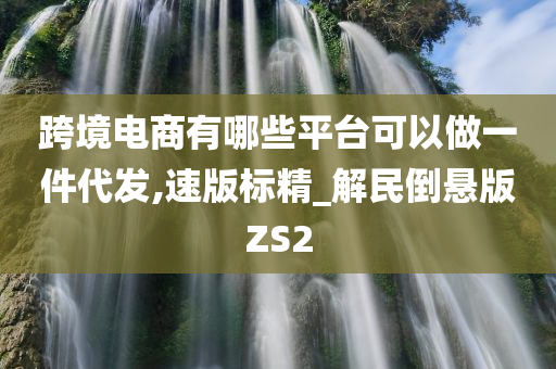 跨境电商有哪些平台可以做一件代发,速版标精_解民倒悬版ZS2