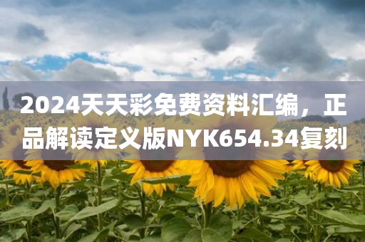 2024天天彩免费资料汇编，正品解读定义版NYK654.34复刻