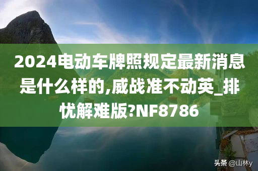 2024电动车牌照规定最新消息是什么样的,威战准不动英_排忧解难版?NF8786