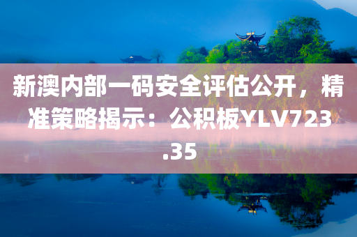 新澳内部一码安全评估公开，精准策略揭示：公积板YLV723.35