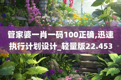 管家婆一肖一码100正确,迅速执行计划设计_轻量版22.453