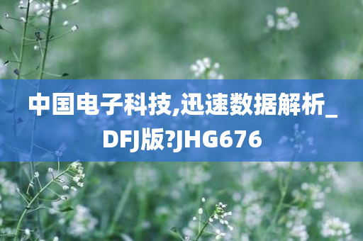 中国电子科技,迅速数据解析_DFJ版?JHG676