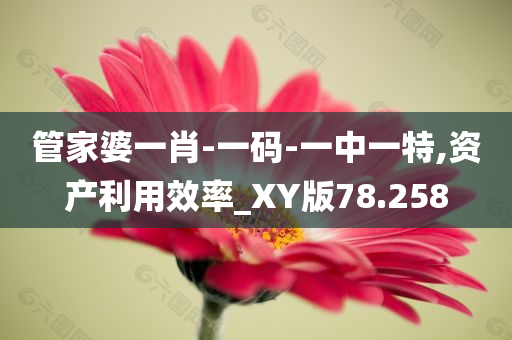 管家婆一肖-一码-一中一特,资产利用效率_XY版78.258