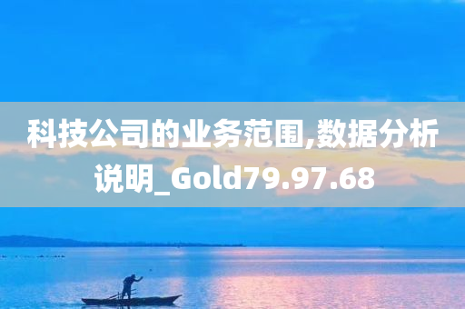 科技公司的业务范围,数据分析说明_Gold79.97.68