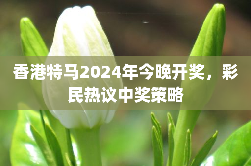 香港特马2024年今晚开奖，彩民热议中奖策略